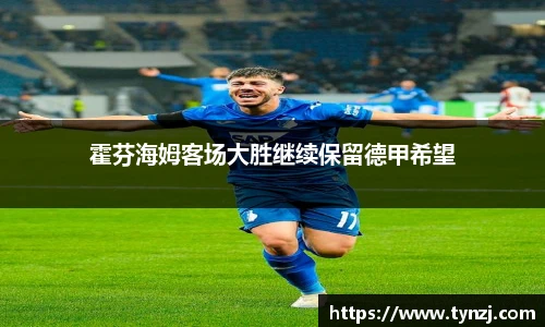 霍芬海姆客场大胜继续保留德甲希望